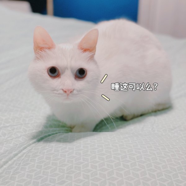 晒货图片