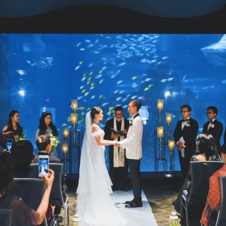 我的梦幻海洋风水族馆婚礼...