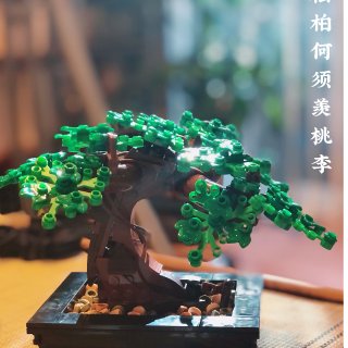 Lego Bonsai Tree $50