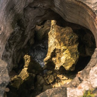 旅行｜🇵🇷波多黎各Cueva Del I...