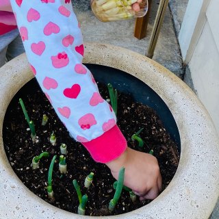 家里的葱都是由宝贝种植的...