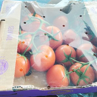 Costco回购品-带藤番茄🍅...
