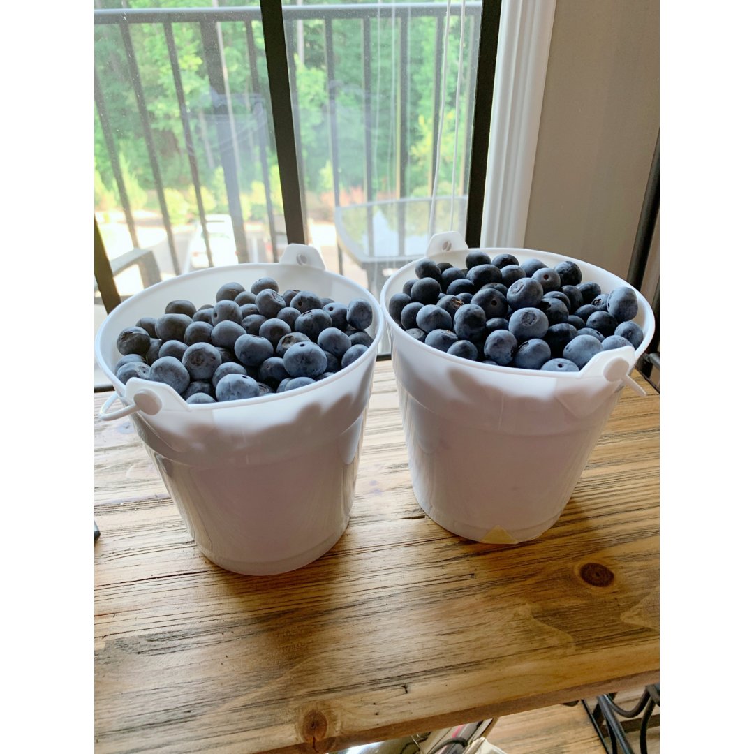 新鲜蓝莓🥰