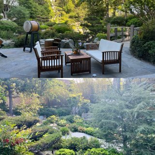 在文化会馆日式庭院优雅用餐欣赏表演新体验...