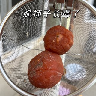 晒柿饼Day5: 这个品种的柿子大翻车！...