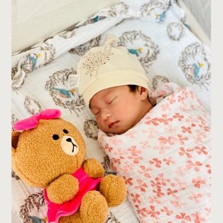 穿着粉红裙子的小熊，陪着宝宝睡觉觉💕...