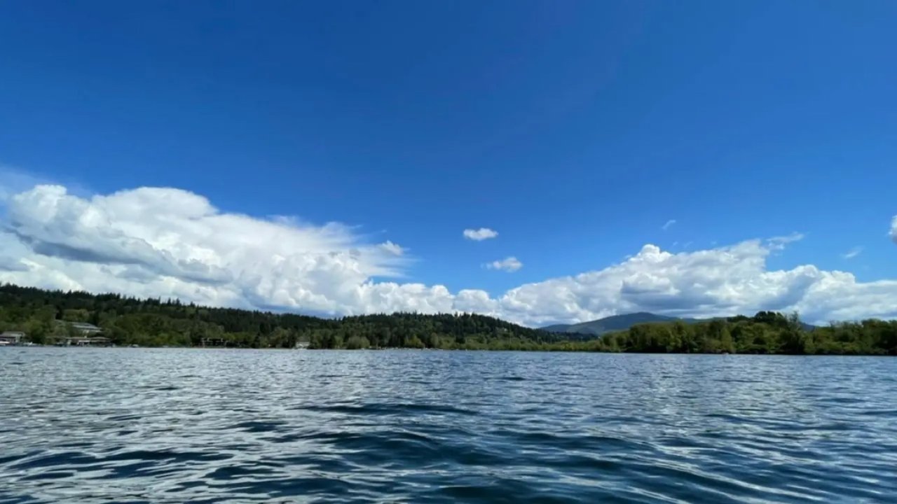 西雅图周末｜Kayaking Lake Sammamish