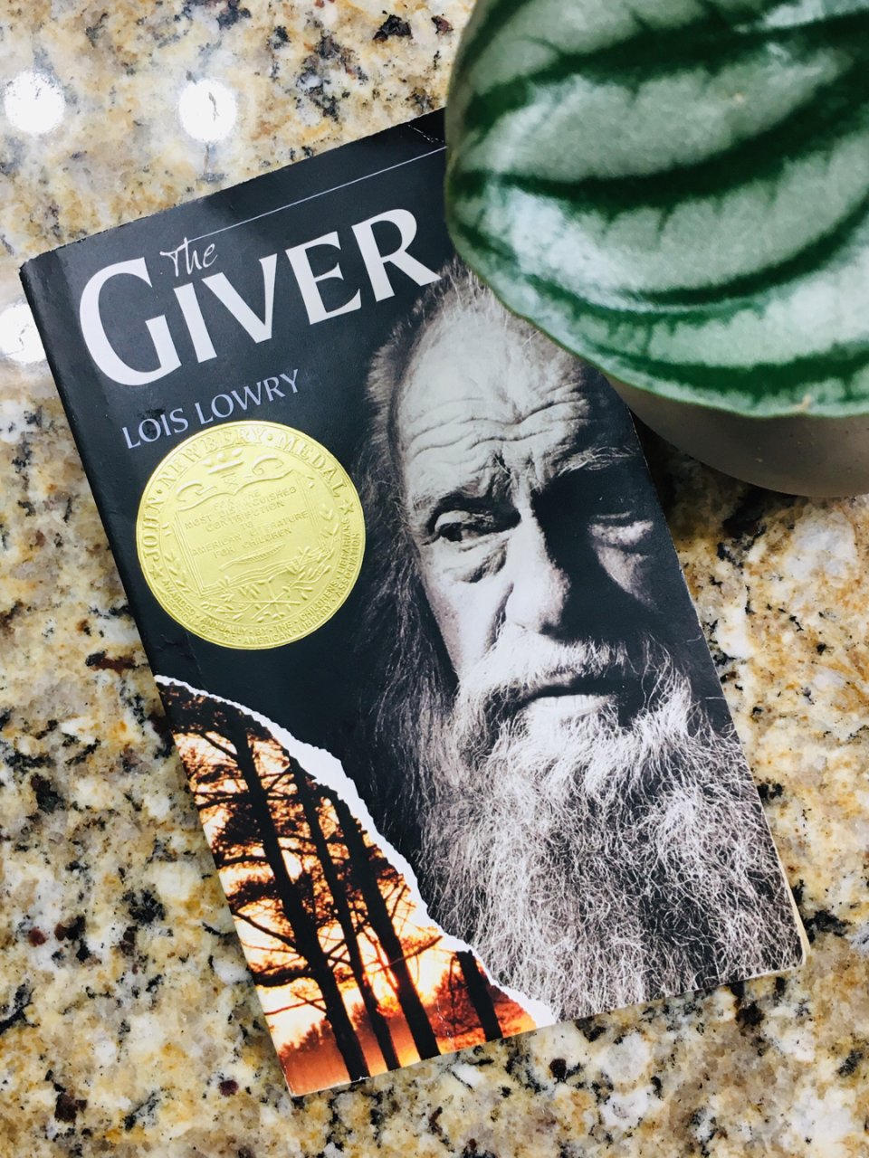 the giver,二手书