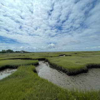 麻州｜鳕鱼角Cape Cod超治愈的湿地...