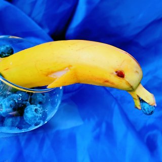 香蕉海豚🐬