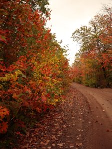 北密赏秋🍁之旅 | 一场颜色的视觉盛宴