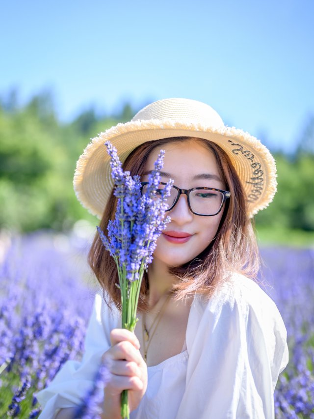 西雅图探景｜夏日💜紫色香气💜