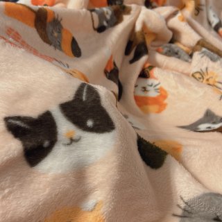 超可爱的猫咪🐱粉色毛毯...