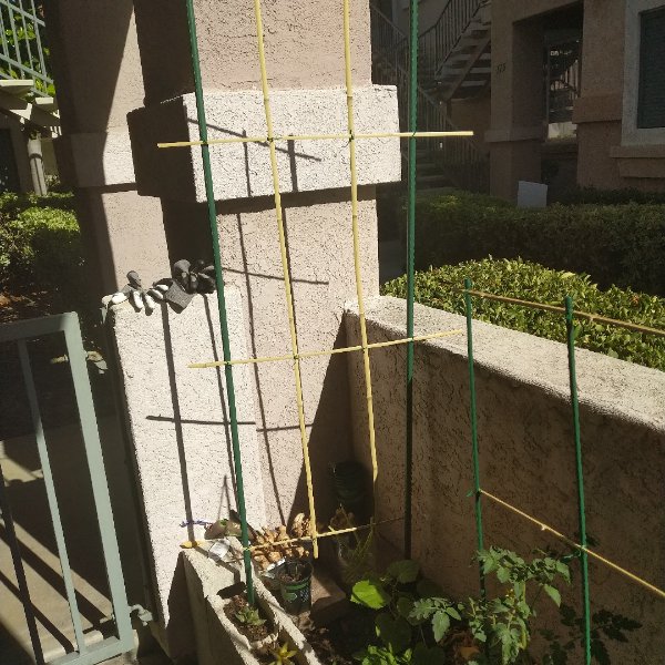 晒货图片