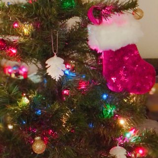 圣诞树🎄节日装饰...