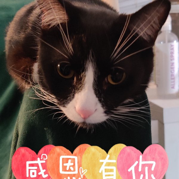 晒货图片