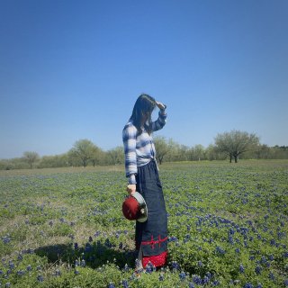 看Fafa世界~德州的蓝帽花...
