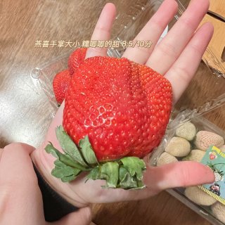 缺德舅草莓怎么选❓白草莓🆚红草莓...