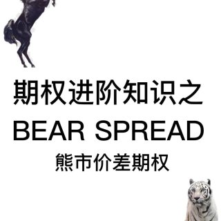 期权进阶知识之Bear Spread 熊...