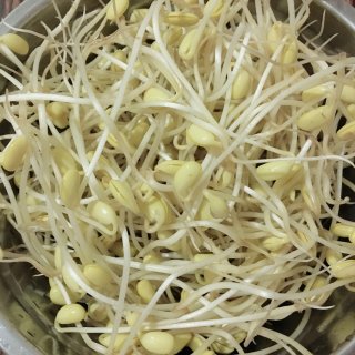 黄豆芽