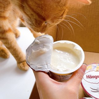 哈根达斯酸奶cultured creme...