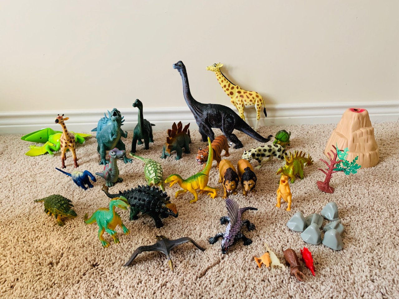 恐龙排排队🦕