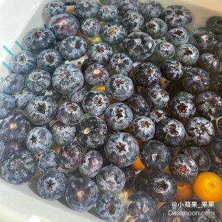 Wholefood大大粒藍莓～～...