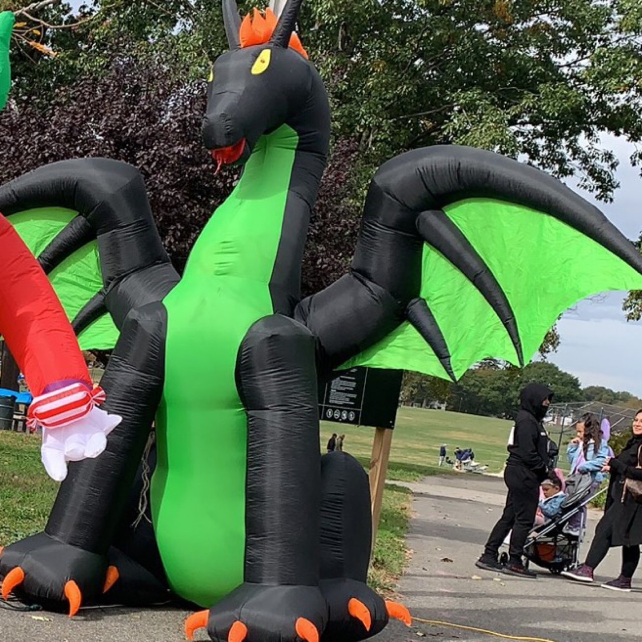 dragon costume adult