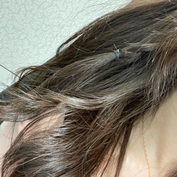 晒货图片