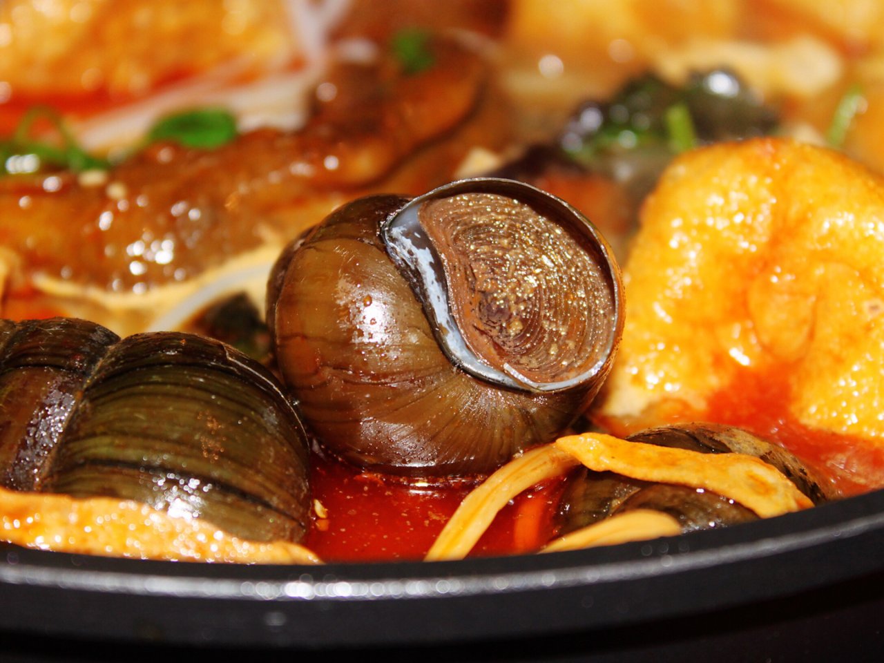 美食分享 | 螺蛳鸭脚煲...