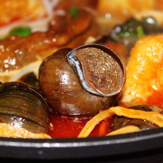 美食分享 | 螺蛳鸭脚煲...