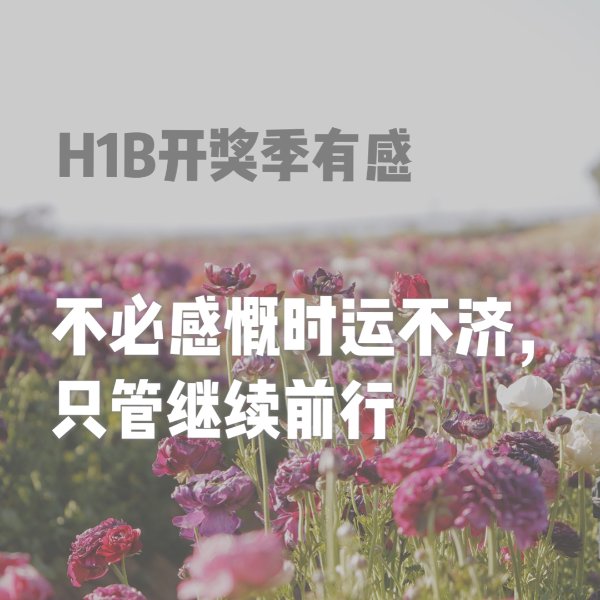 晒货图片