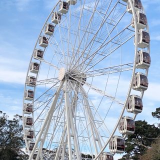 SkyStar Wheel 