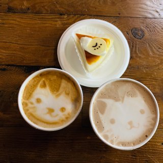 西雅图-猫咖啡🐈...