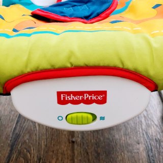 fisher price的婴儿摇摇椅...