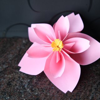 【折纸樱花，给小朋友讲述日本樱花季的美好...