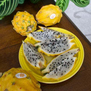 【黄色火龙果】好吃又营养的果子...