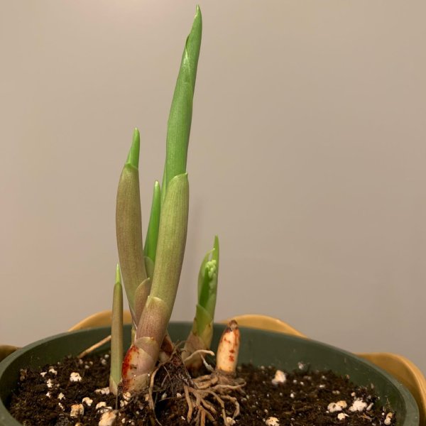 晒货图片