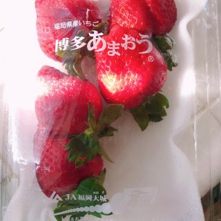 日本奶油草莓🍓
