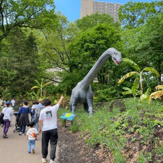 Bronx Zoo Dinosaur P...