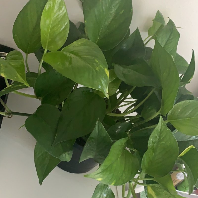 晒货图片