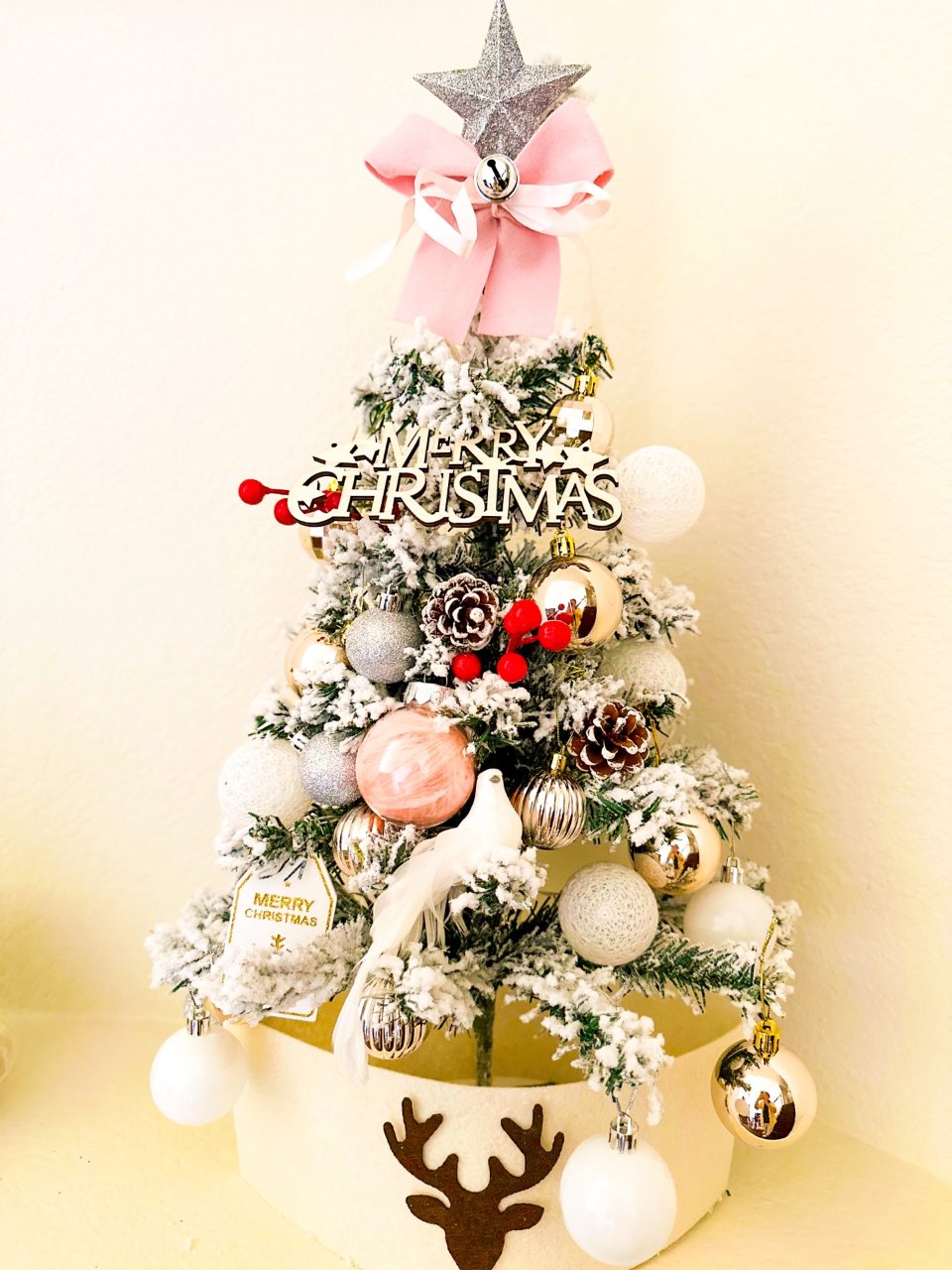 我的mini粉色雪松圣诞树🎄好漂亮😍...