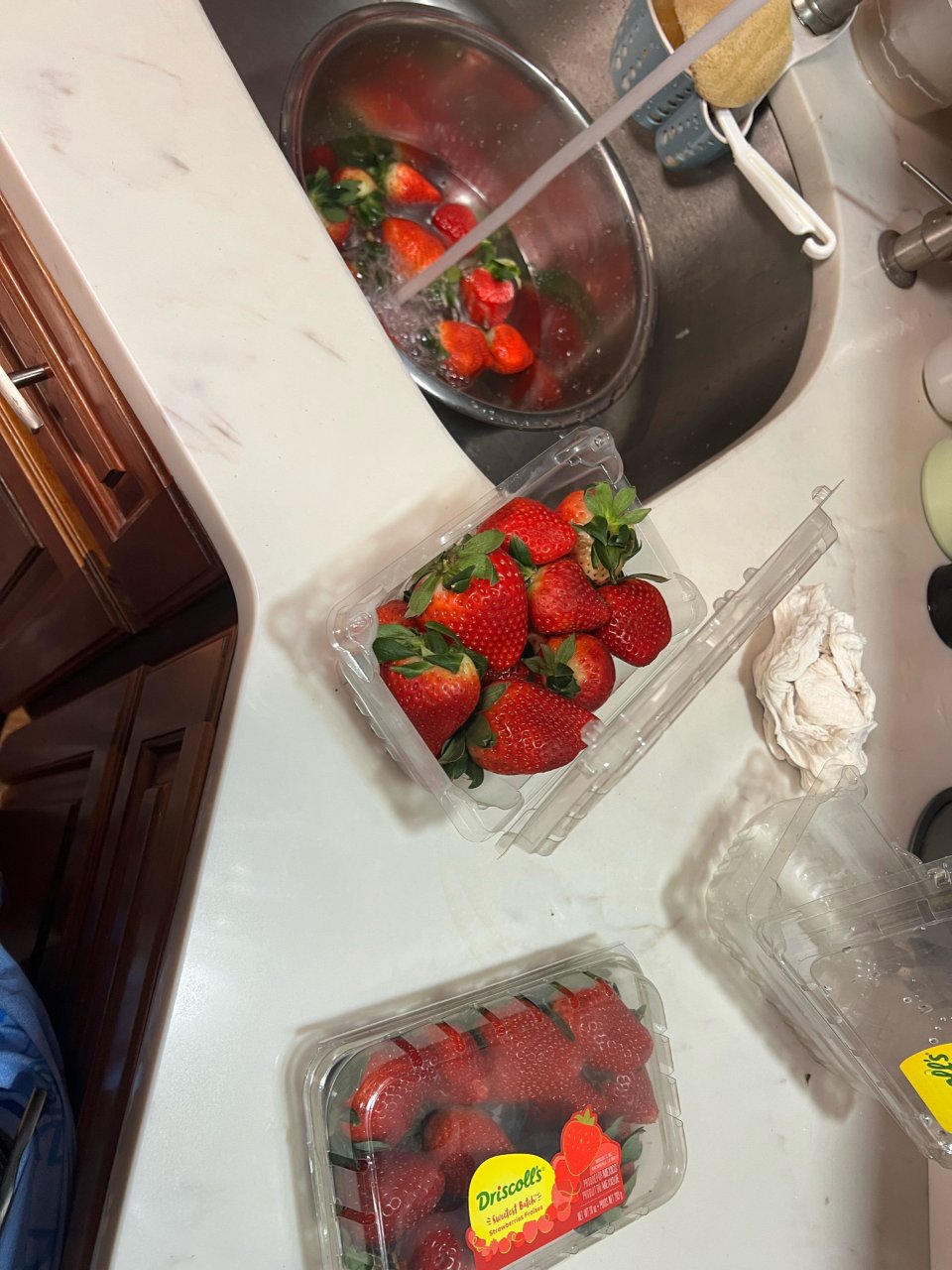 草莓大集合