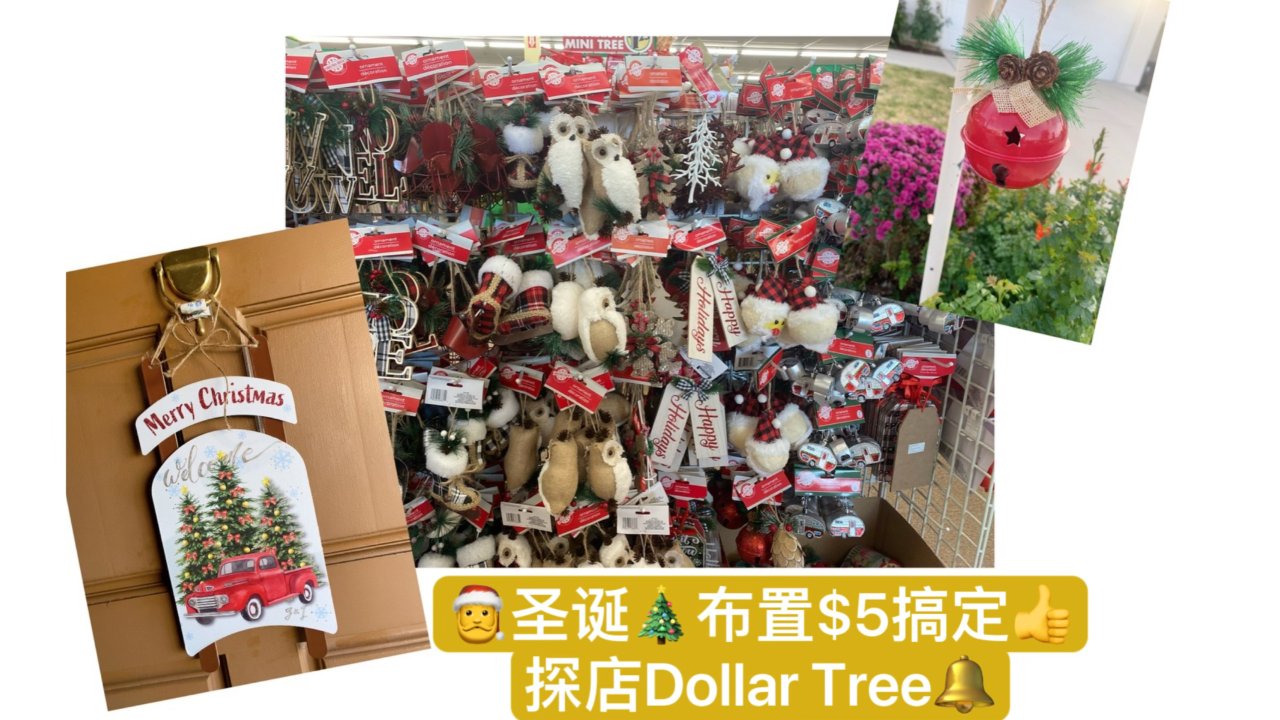 🔔圣诞🎄布置$5搞定｜探店dollar tree