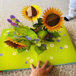 给娃读什么：一本讲四季的花朵的立体绘本...