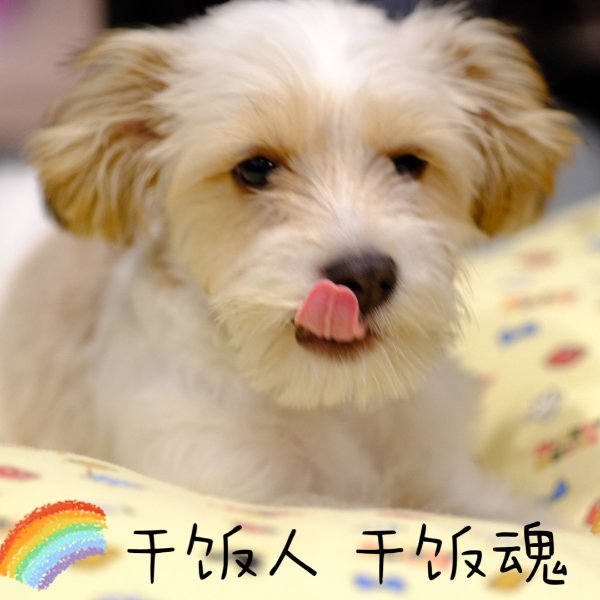 晒货图片