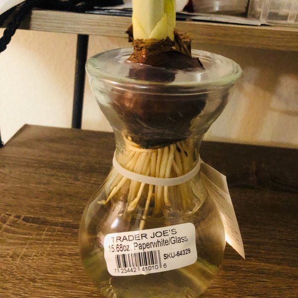 晒货图片