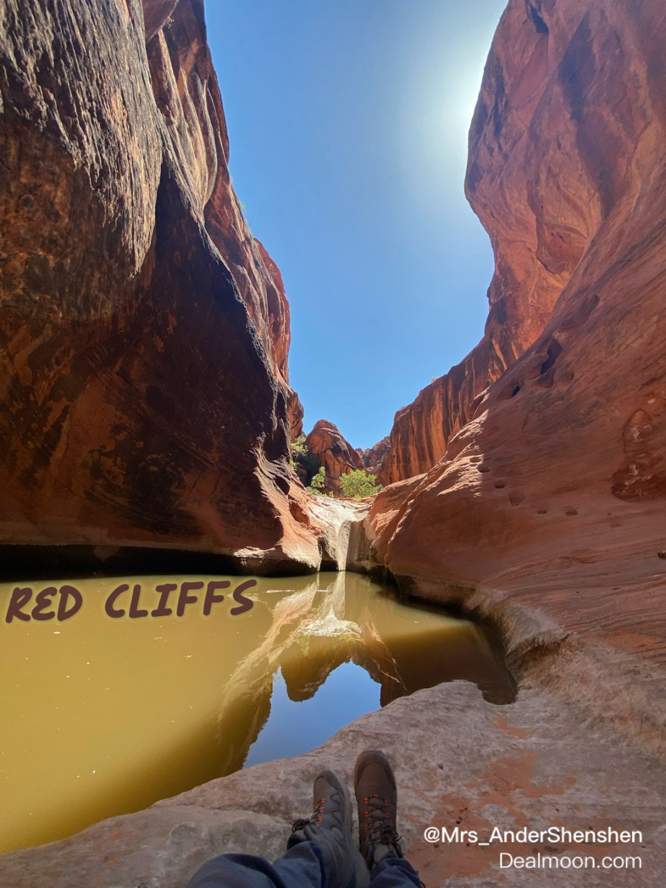 Utah｜Red Cliffs 红礁小径...