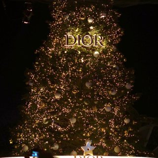 【🎅圣诞集市的迪奥圣诞树🎄已点亮】...