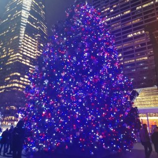 最华丽的圣诞树🎄与最璀璨的星🌟...